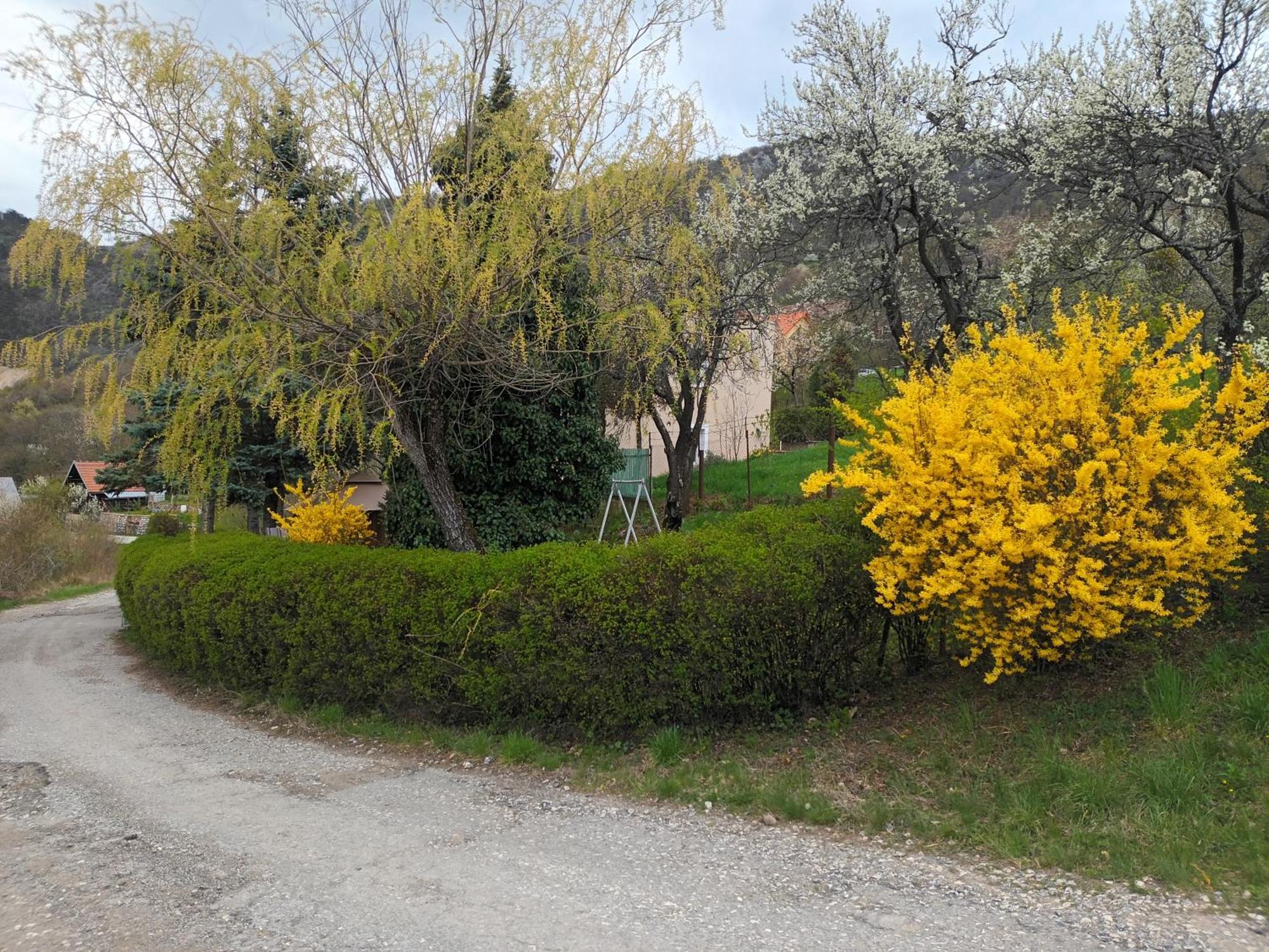 Villa Evetes Jablonov nad Turnou Dış mekan fotoğraf